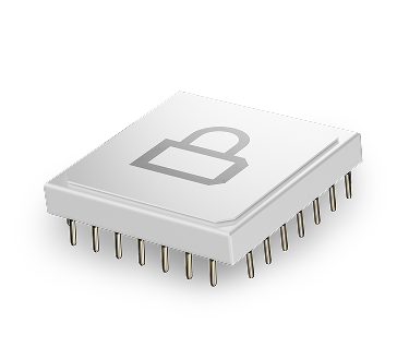 Chip
